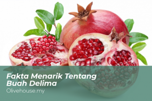 fakta-menarik-tentang-buah-delima