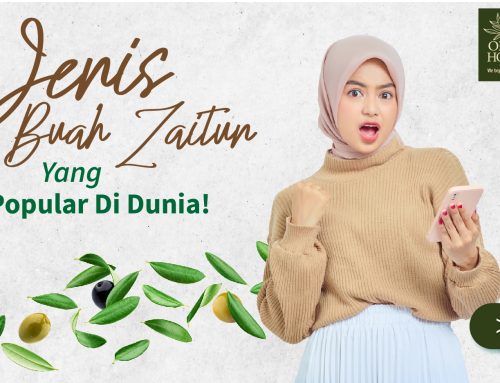 Jenis Buah Zaitun yang Popular di Dunia!